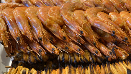 Similar image 21157342