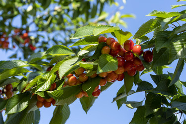 Similar image 21157344