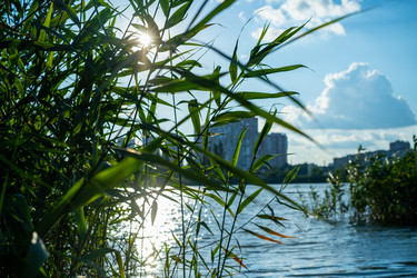 Similar image 21157348