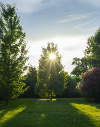 Similar image 21157351