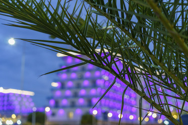 Similar image 21157353