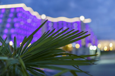 Similar image 21186440