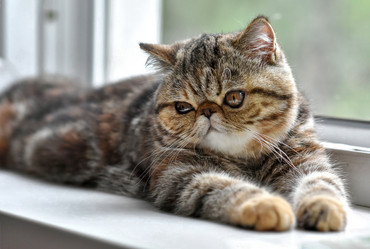 Similar image 21155428