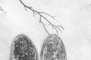 Similar image 21155439