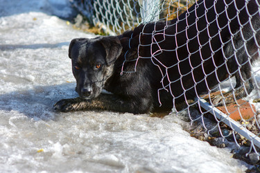 Similar image 21155441