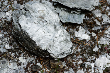 Similar image 21155461