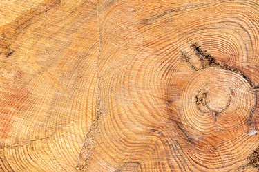 Similar image 21155464