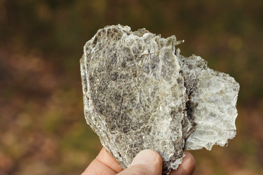 Similar image 21155466