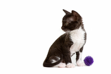 Similar image 21155472