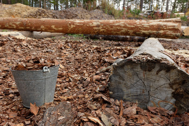 Similar image 21155473