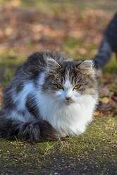 Similar image 21155475