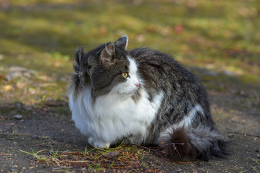 Similar image 21155478