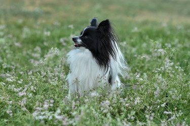 Similar image 21155481