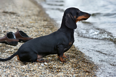 Similar image 21155482