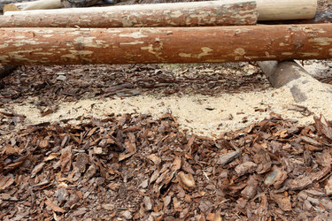 Similar image 21155484