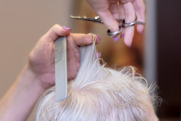 Similar image 21155490