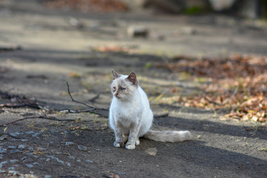 Similar image 21155491