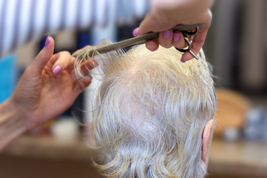 Similar image 21155493