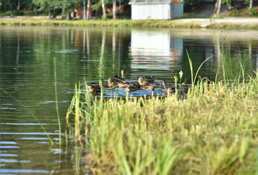 Similar image 21155499