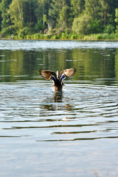 Similar image 21155501