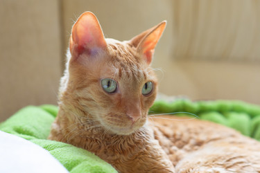 Similar image 21155502