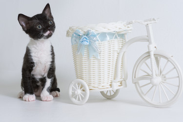 Similar image 21155503