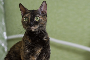 Similar image 21155504