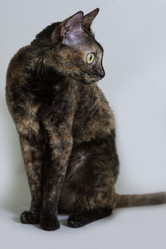 Similar image 21155507