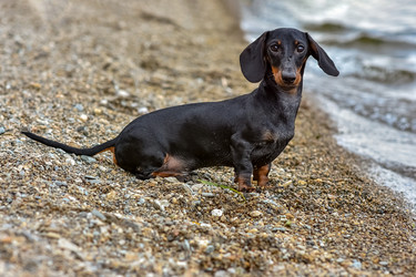 Similar image 21155508