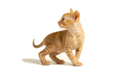 Similar image 21155509