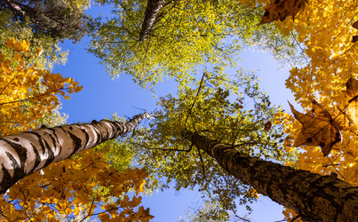 Similar image 21171927