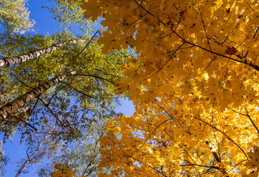 Similar image 21171928