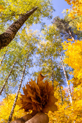 Similar image 21171929