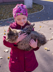 Similar image 21171936