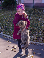 Similar image 21171937