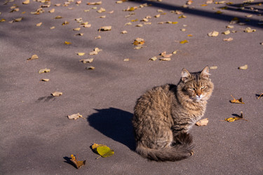 Similar image 21171938