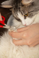 Similar image 21187637