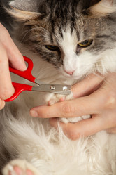 Similar image 21187717