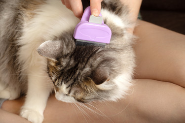 Similar image 21187719