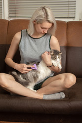 Similar image 21187725