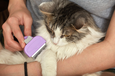 Similar image 21187727