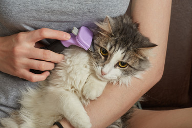 Similar image 21187729