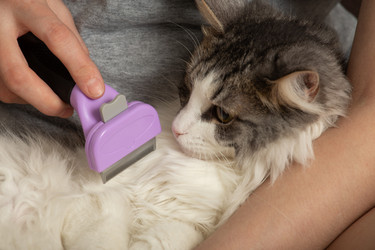 Similar image 21187733