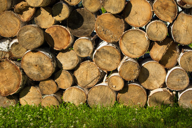 Similar image 21156532