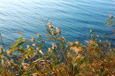 Similar image 21156533