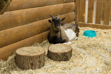 Similar image 21157588