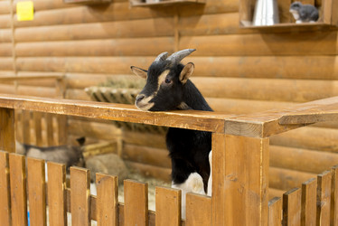 Similar image 21156935