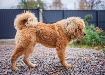 Similar image 21156539