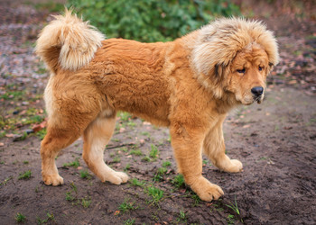 Similar image 21156540