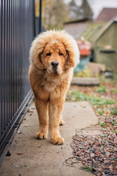 Similar image 21154998